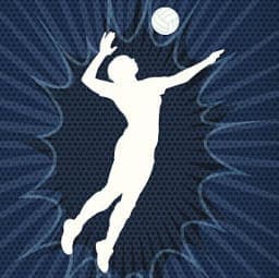 Lady Owls Volleyball well represented on All Johnson County team
