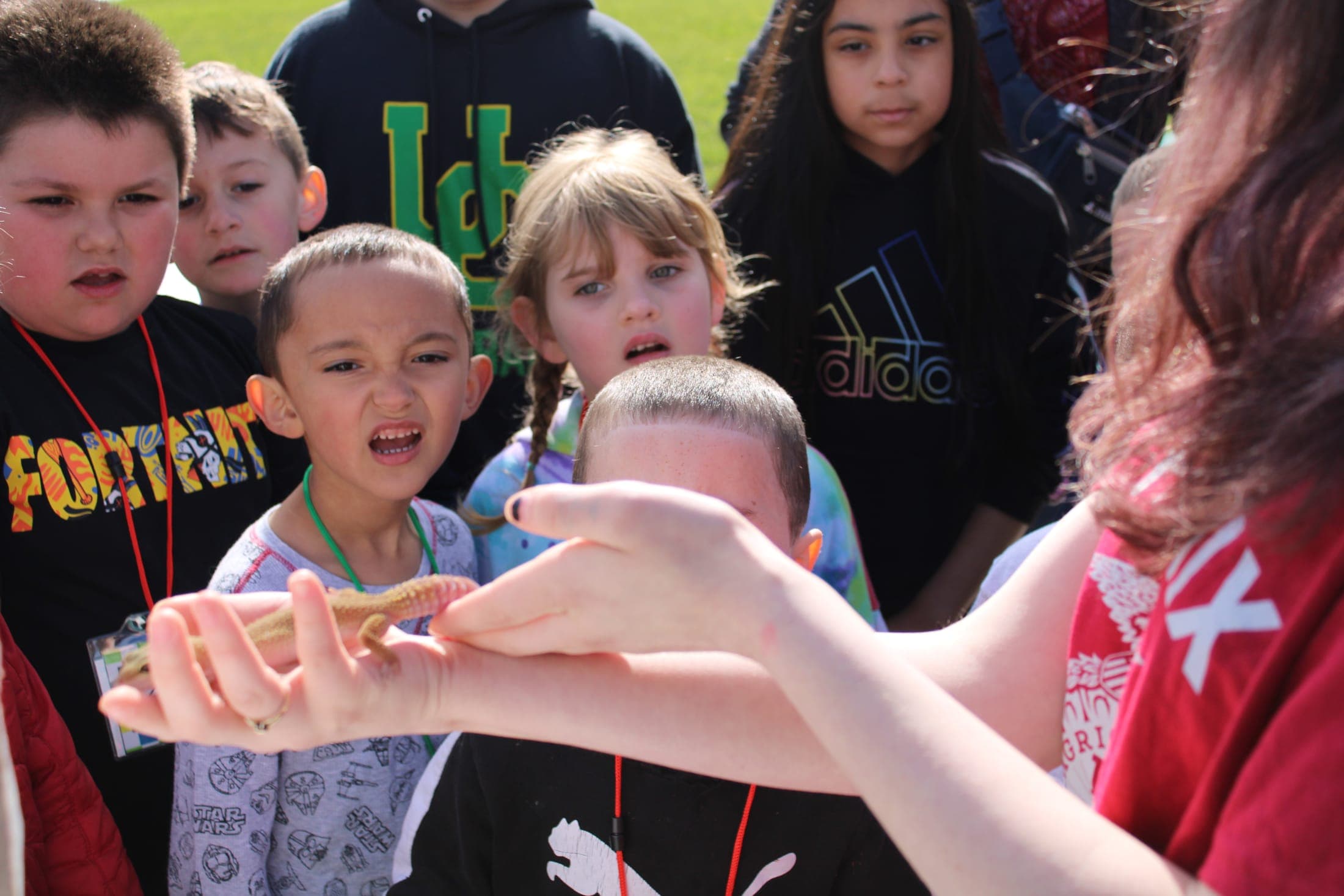 Young students examine a bug