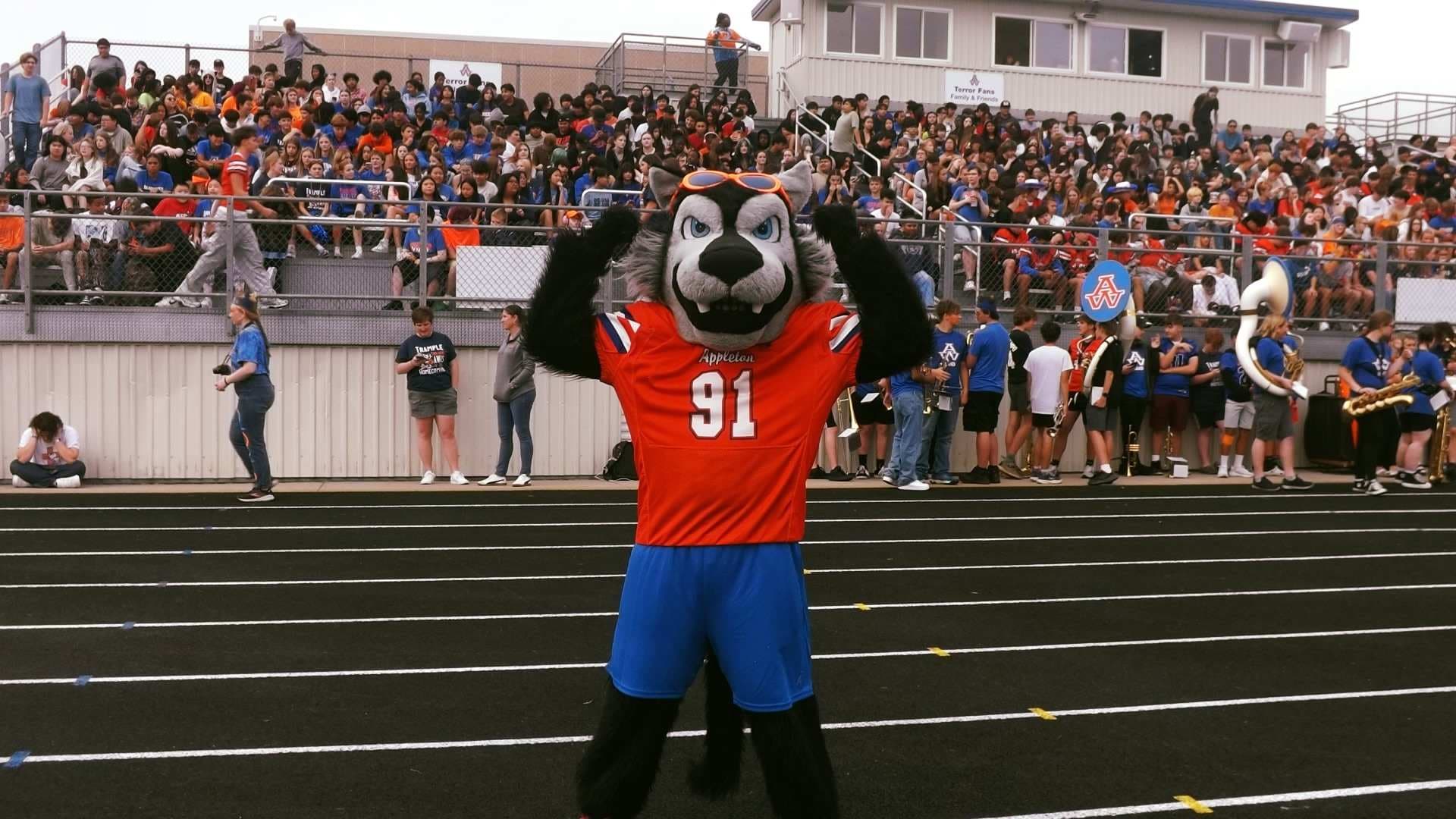 A large crowd of people in the background, with a mascot wearing a jersey with the number 91 standing in the foreground on a sports field.