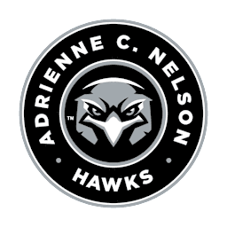 Nelson HS Logo.