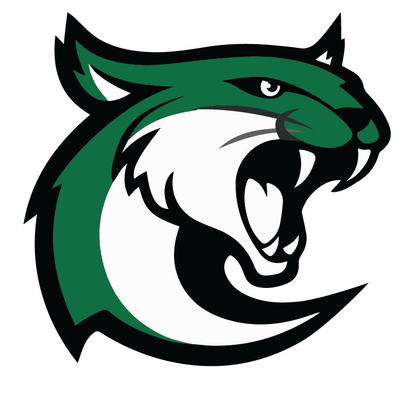 Wildcat Logo