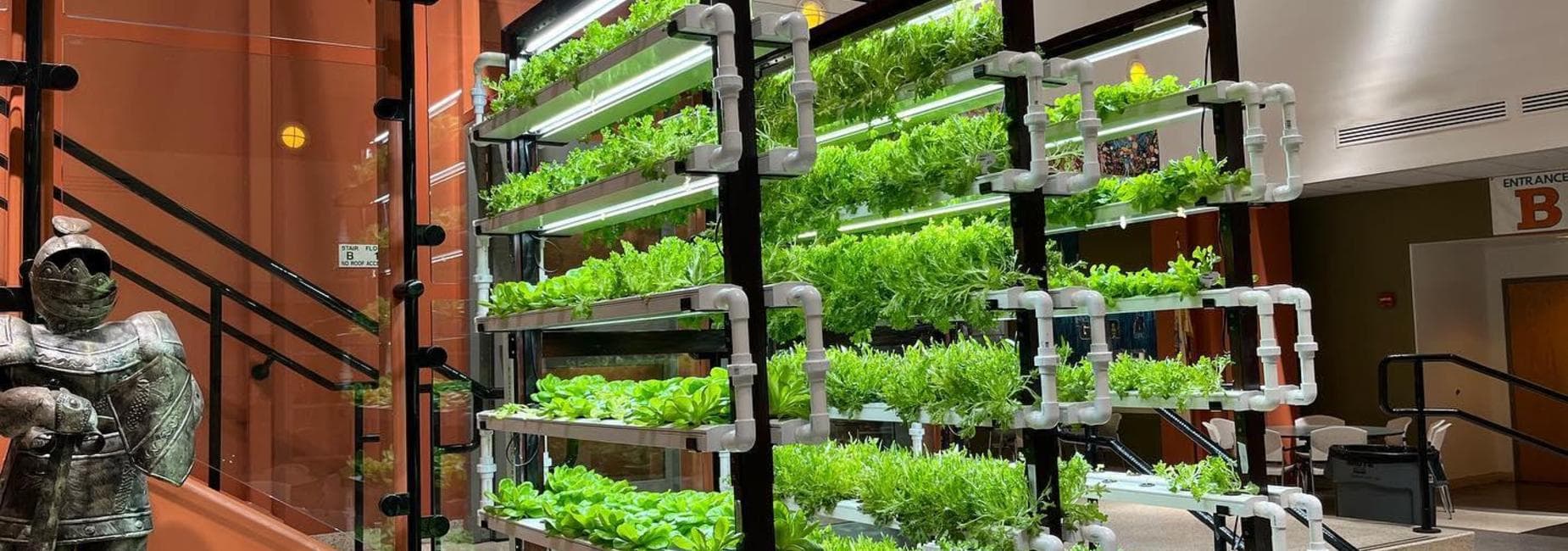 Aquaponics Grow Channels