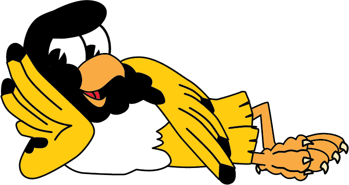 Falcon Image