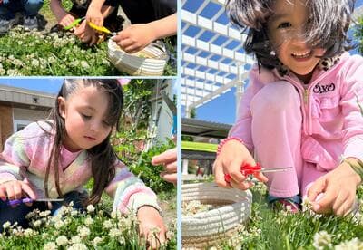 children cutting flowers in the grass