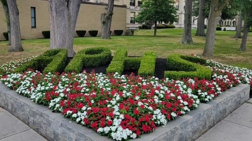 APHS Lawn