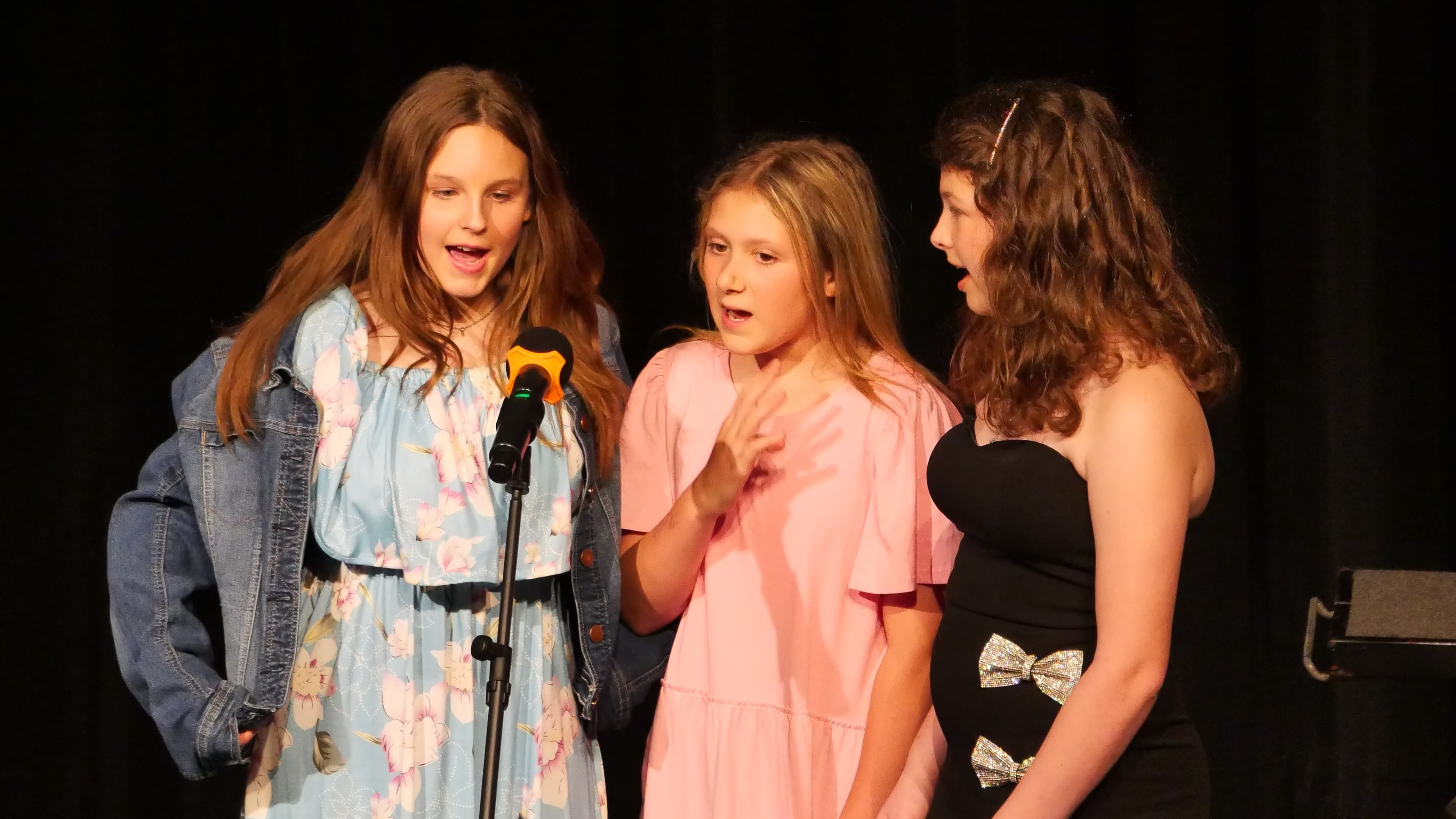 Vocal Music Program