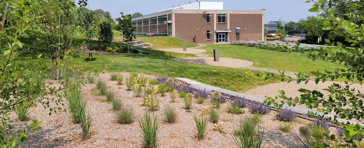 wildcat patio photo