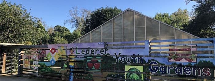 Lederer Gardens.jpeg
