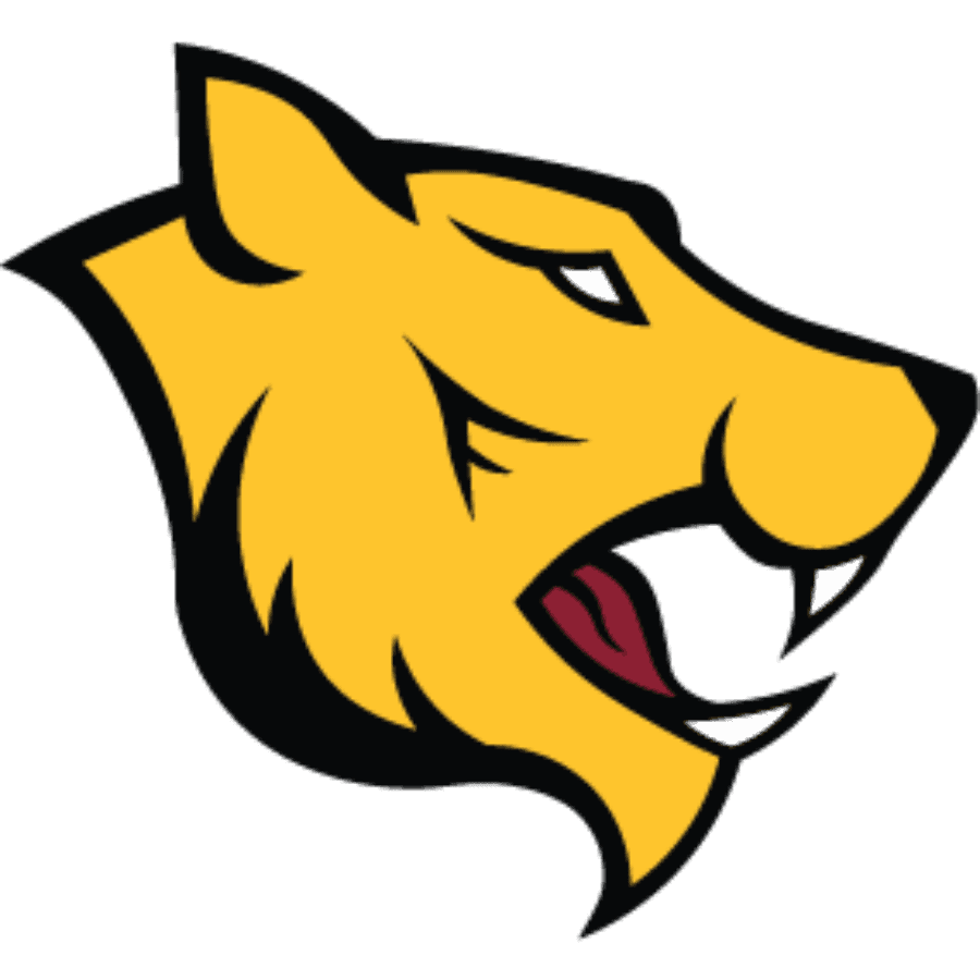 Cougar Mascot logo