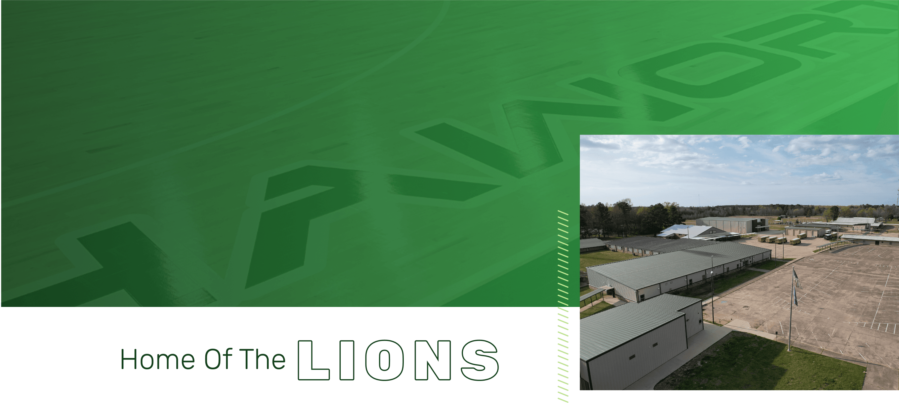 HOME OF THE LIONS!