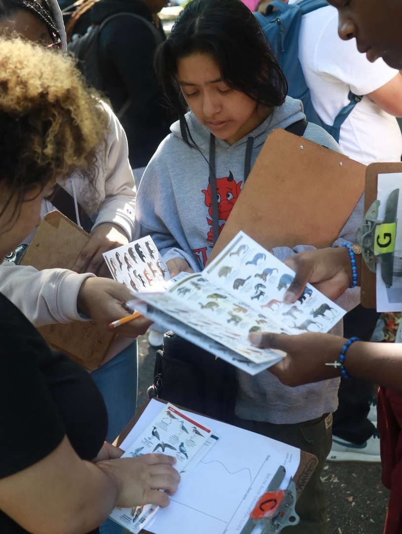 Students looking at a picture of animals