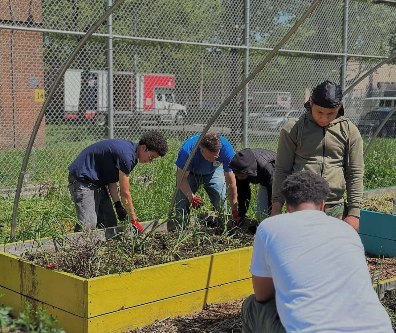 Students planting vegetables