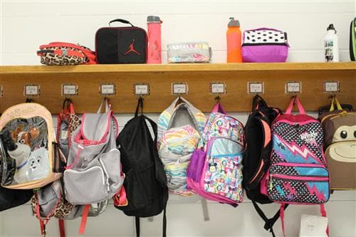 A row of colorful backpacks and lunch boxes hanging on hooks in a school hallway.