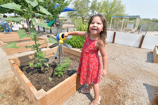 A little girl in a red dress waters a plant in the garden