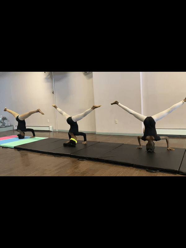Beenees Babies At Inspire Art Space