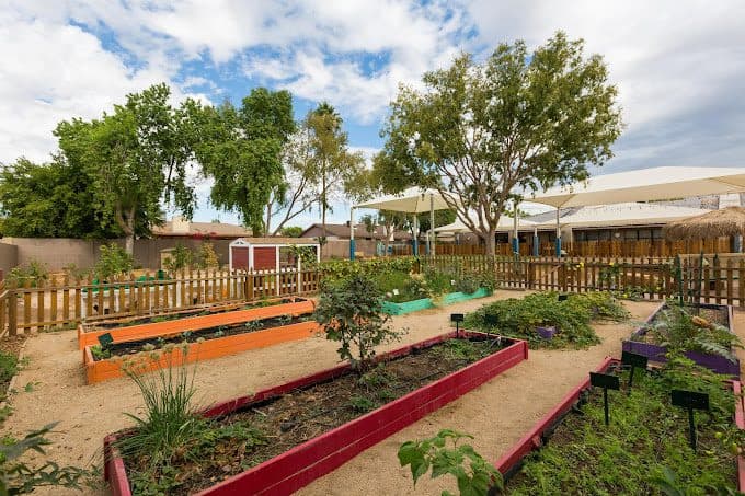 Newton School for Children
