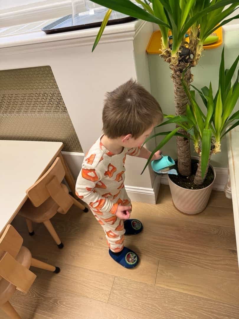A toddler watering a plant in the Montessori toddler classroom at Beacon Montessori School in Weston, MA