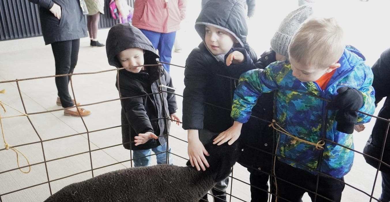 Students pet a lamb at a special Farmer Day event at the ECC.