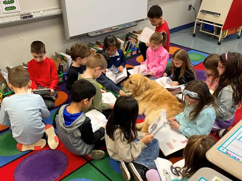 Students reading books in the classroom with a service dog in the center