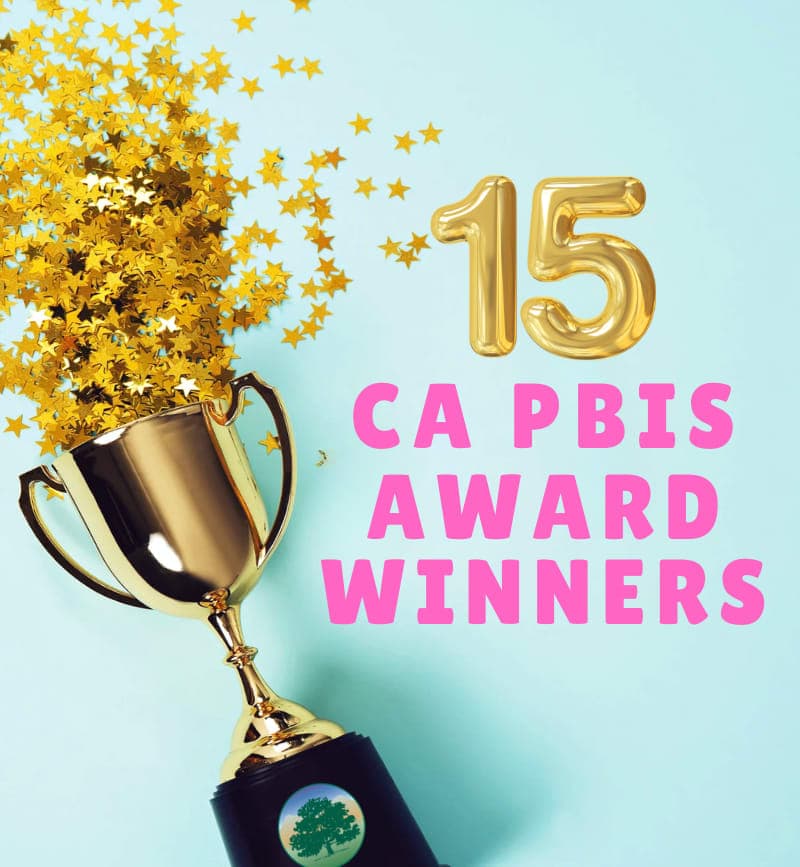 trophy with gold stars and pink writing 15 Award Winners