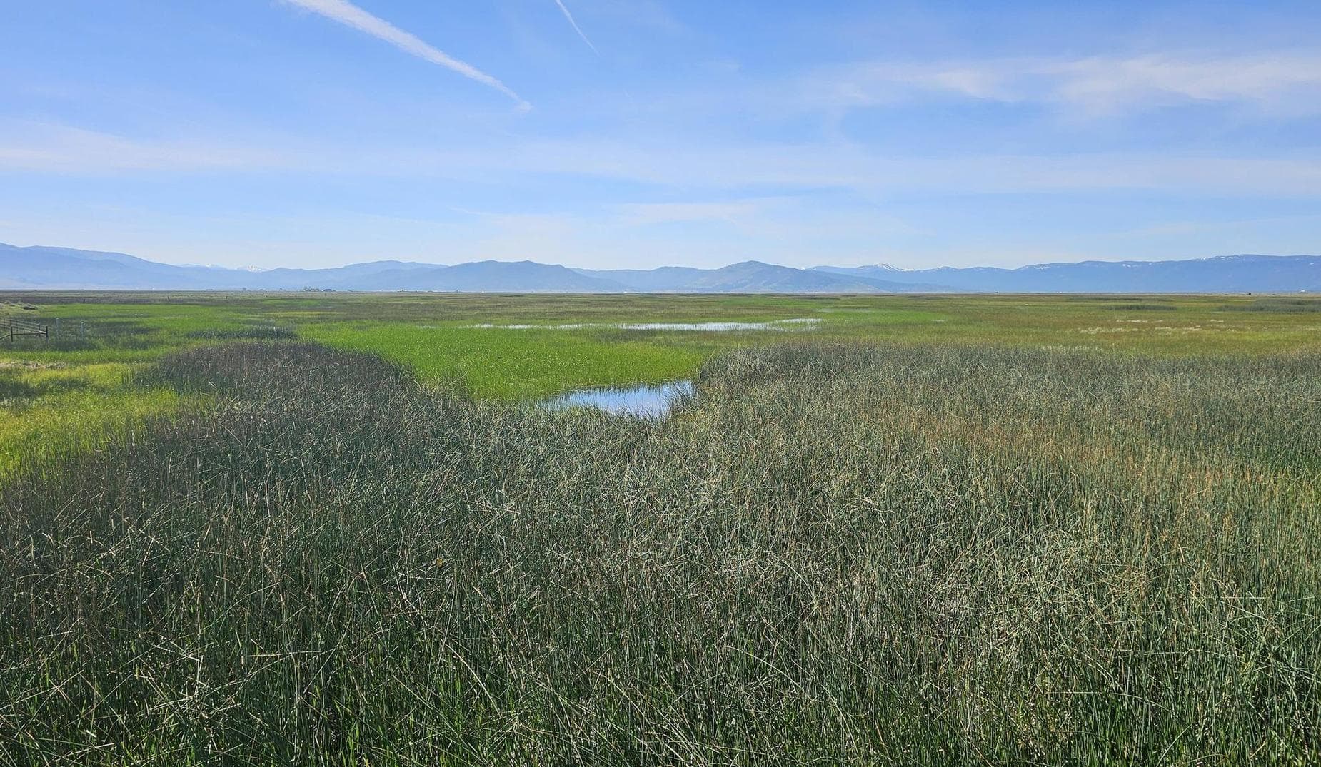 Spring in Sierra Valley
