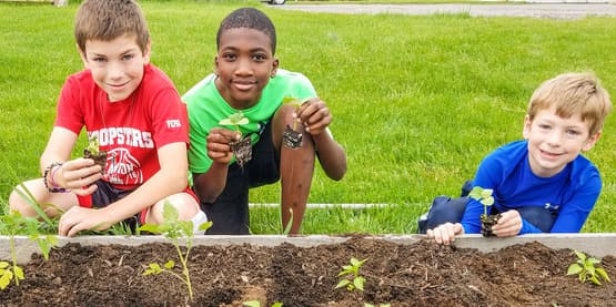 Planting plants during NW After School