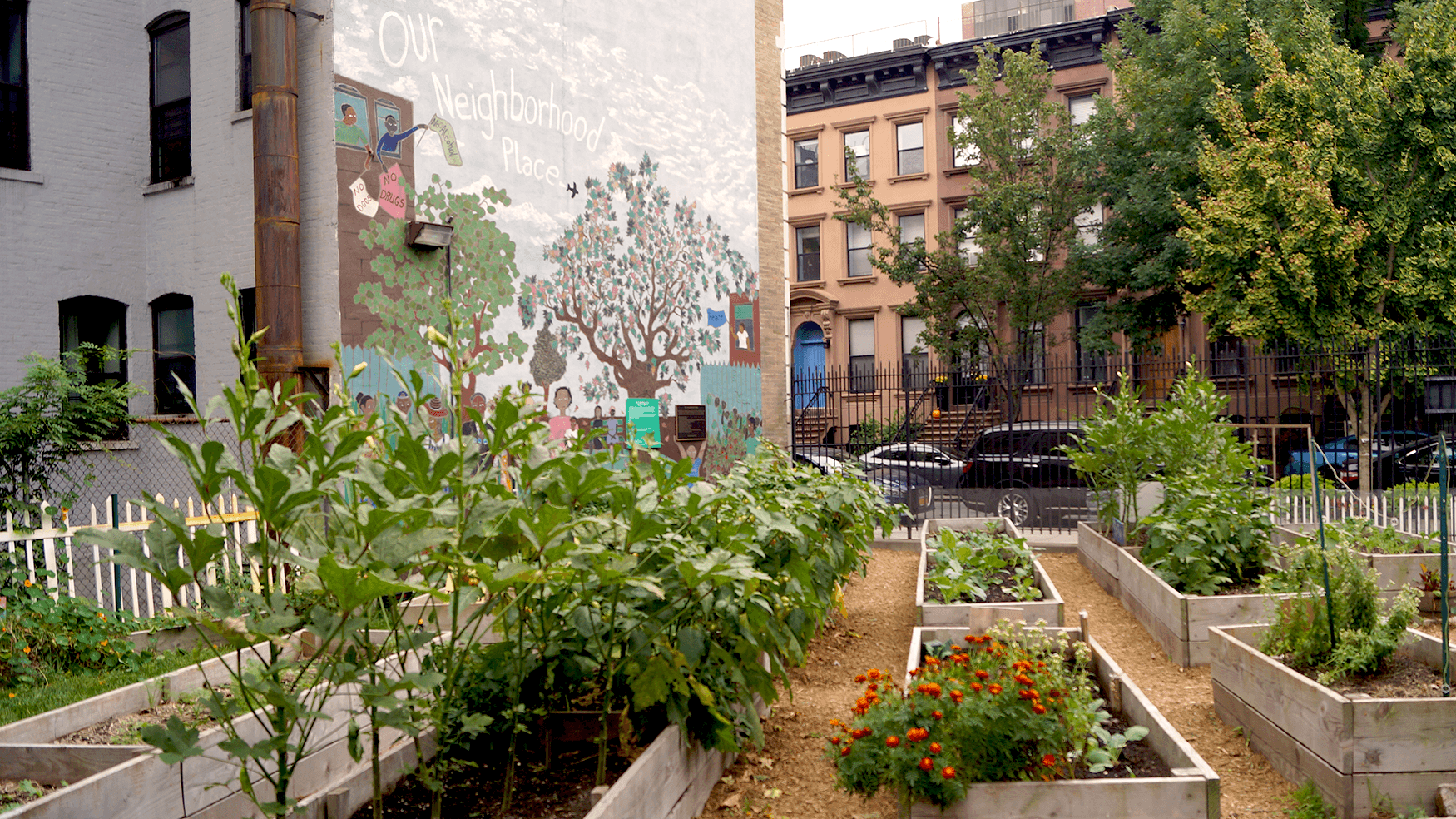 Plant Beds and Mural at Harlem Grown's 127th Street Farm