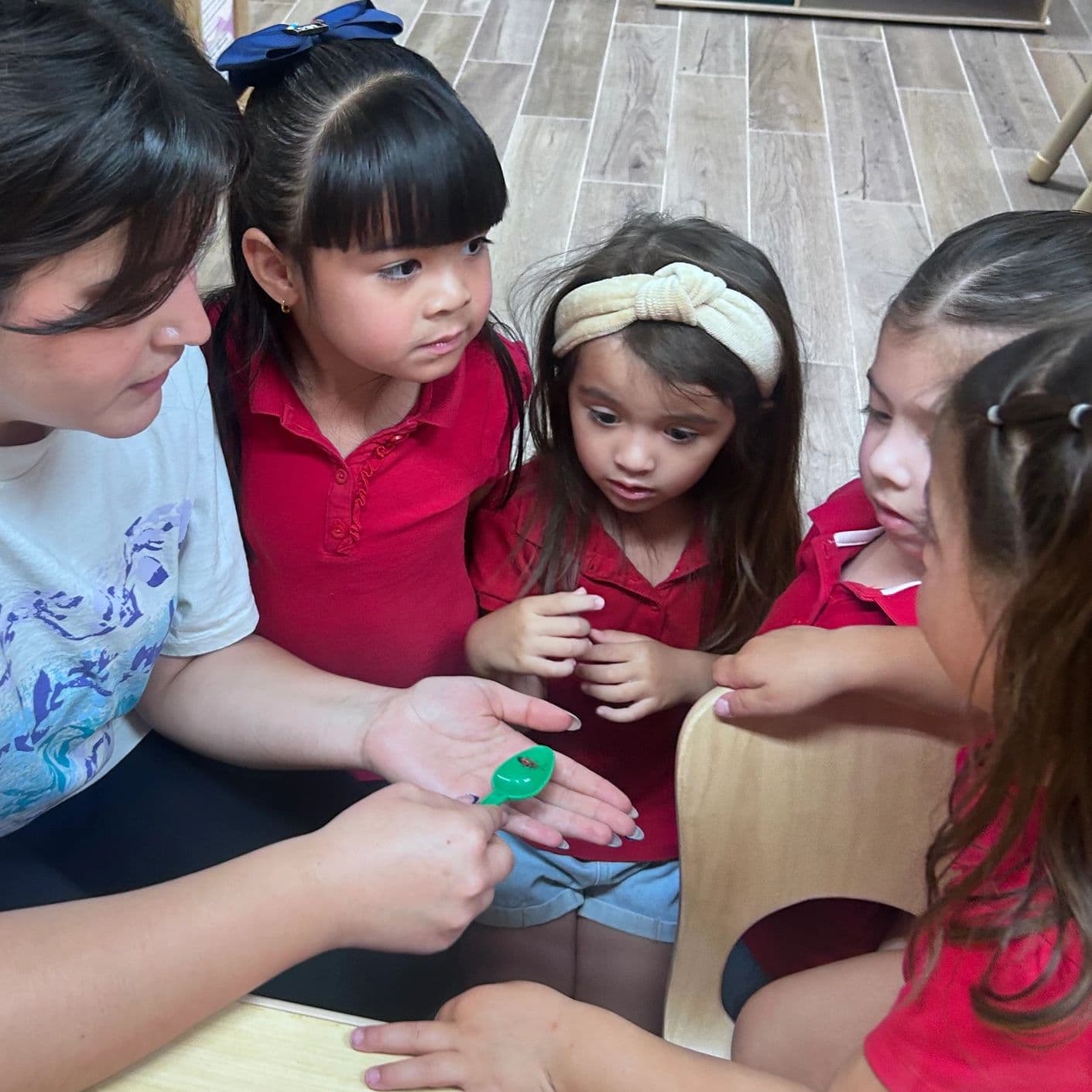 Children and a woman observing a small insect on a green spoon.