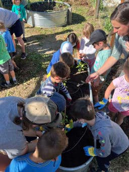 Students planting