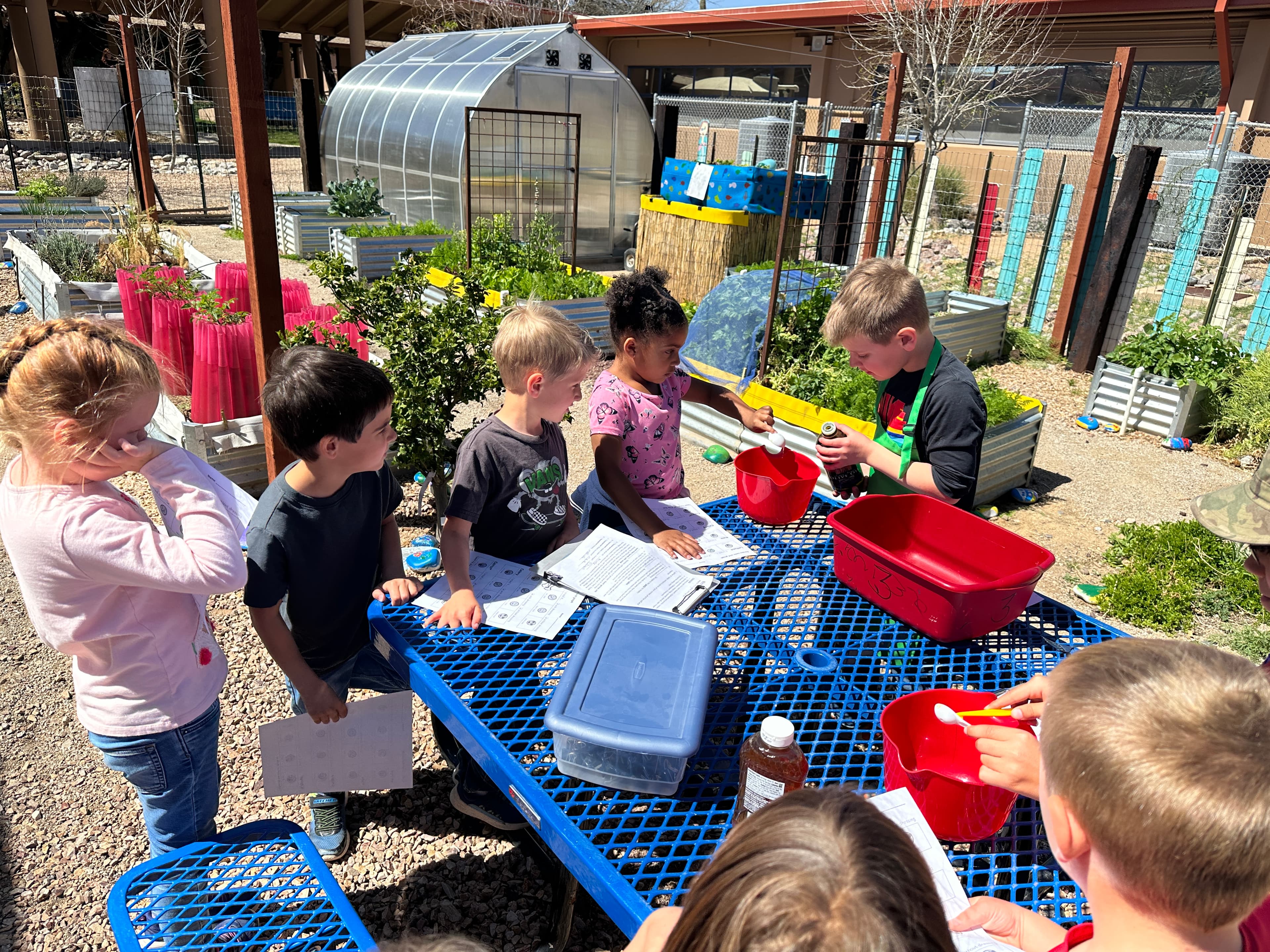 Garden Outdoor Learning