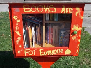 Little Library.jpg
