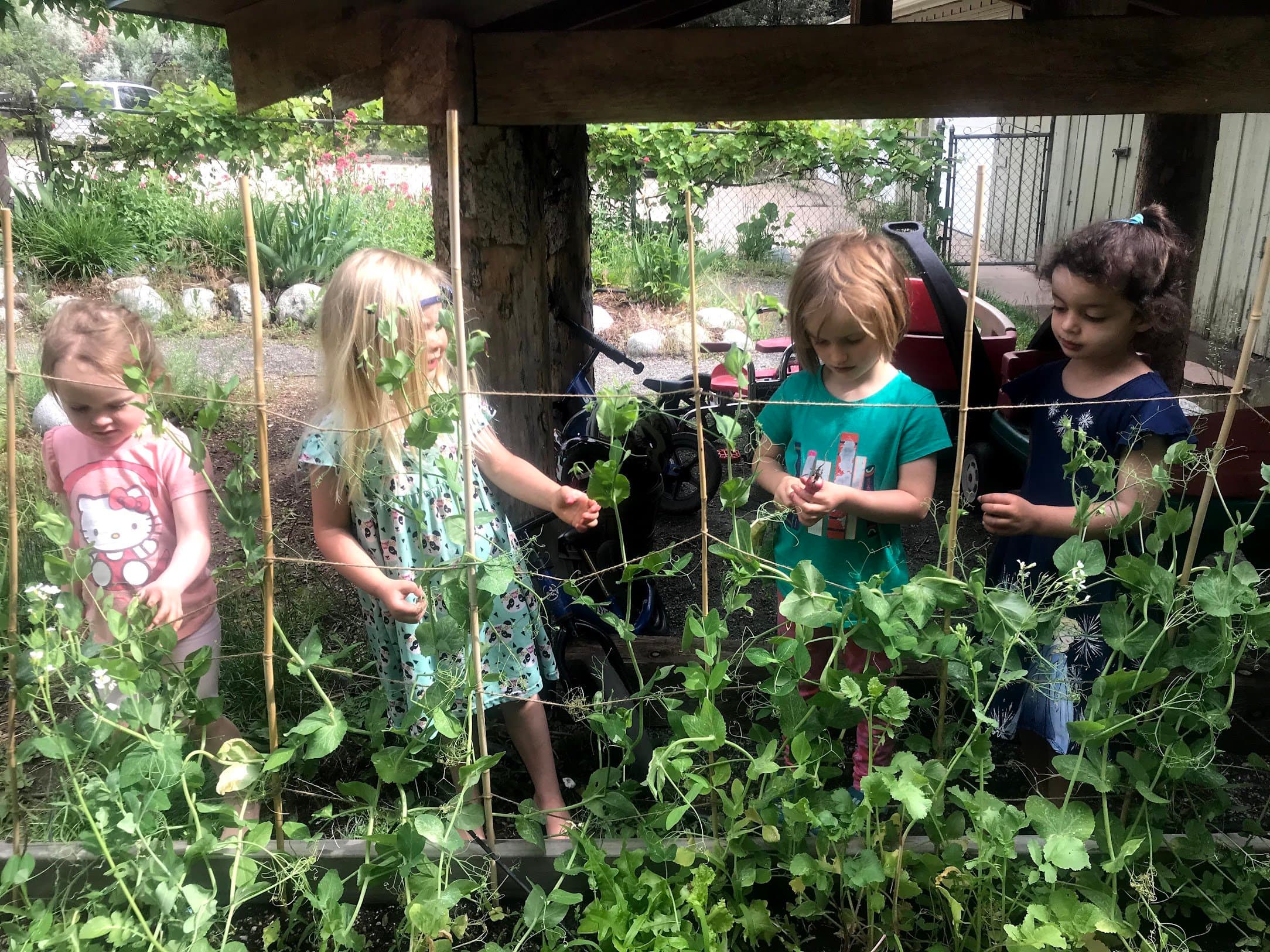 ALAYA PRESCHOOL KINDERGARTEN