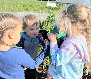 Children & Chickens_edited.jpg