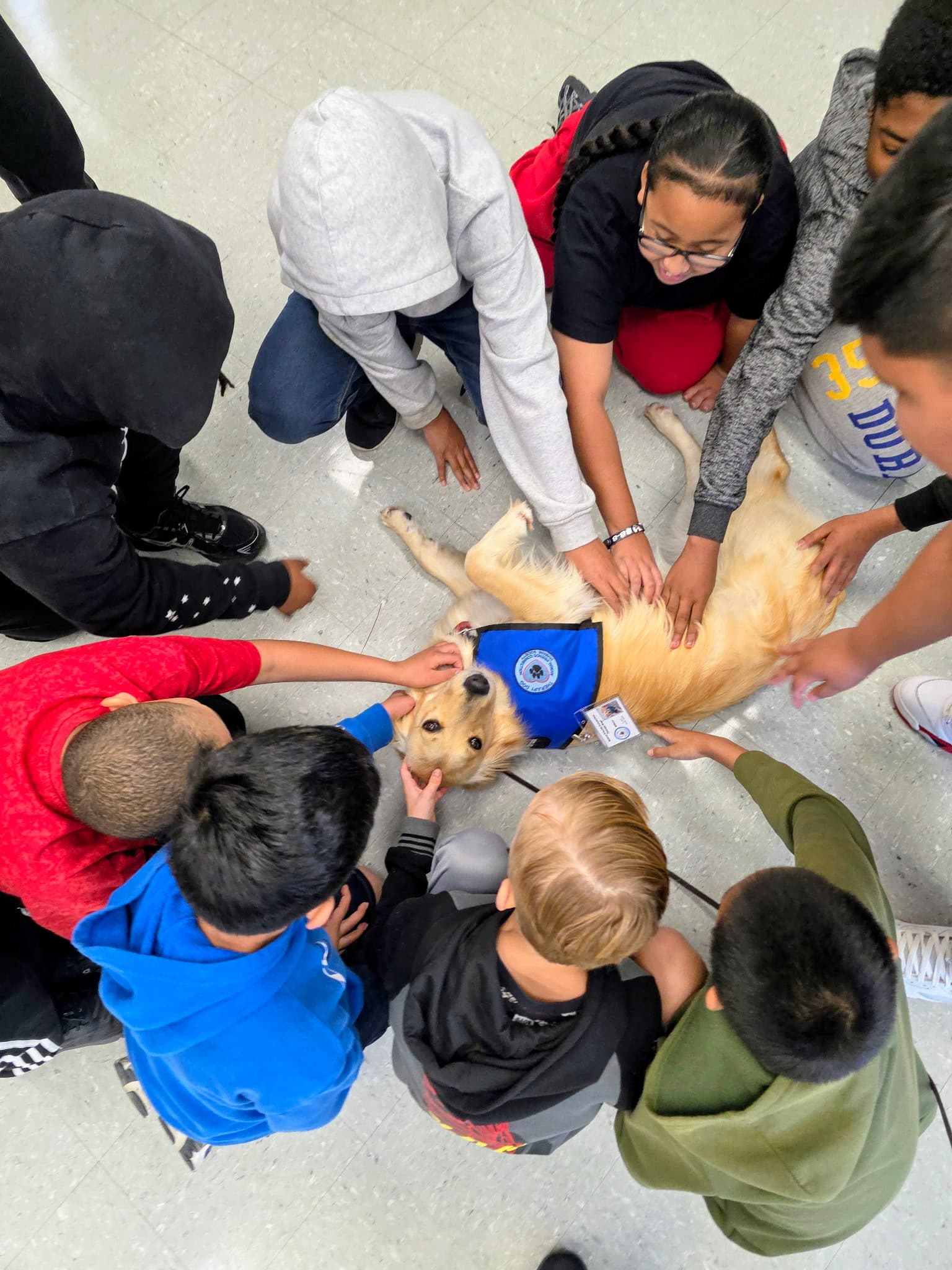 Canine Comfort Dogs Visit Adams Elementary