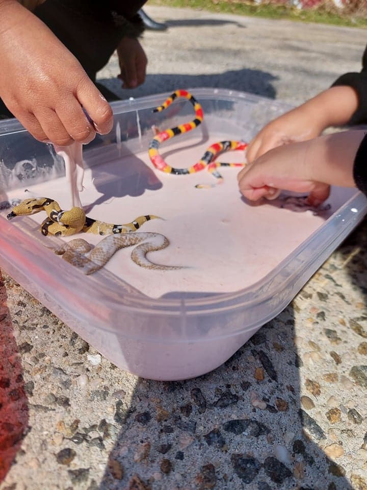 Sensory play activity.