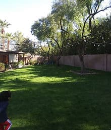 landscaping